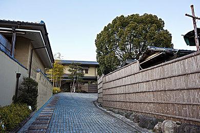 用眼泪战斗ARPG《恸哭之星》2月24日登陆Switch